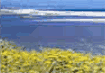 La Sardegna del Sud e non solo mare.