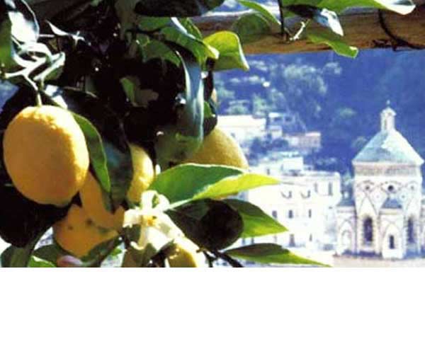 Amalfi, Positano, Ravello e Vietri sul Mare