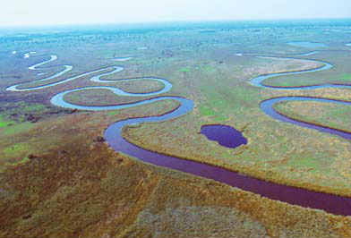 Viaggiare in Botswana