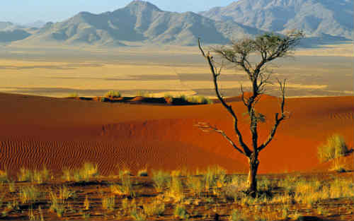 Viaggiare in Namibia