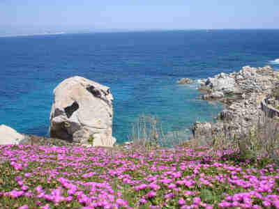 Sole e spiagge stupende della Sardegna
