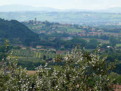 Week end in Umbria , museo dell'olio e del vino