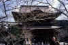 011kamakura_jpg.jpg (43799 byte)