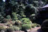 012kamakura_jpg.jpg (44102 byte)