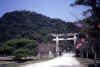 037Hagi_jpg.jpg (29563 byte)