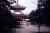 092Koya_jpg.jpg (25482 byte)