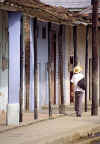 Campesino.jpg (23444 byte)