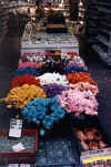 amsterdam fiori.jpg (66621 byte)