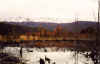 Ushuaia  Parque Nacional (Tierra del Fuego)