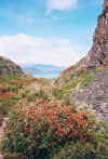 parco naz.del paine1.jpg (86758 byte)