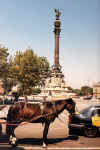 spagna13.jpg (29966 byte)