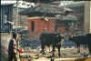 durbar square