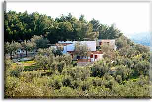 Bed and Breakfast,Villa Celeste