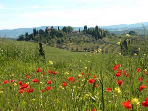Siena
