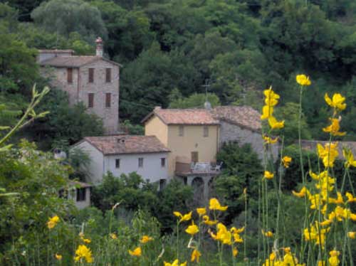 Matelica