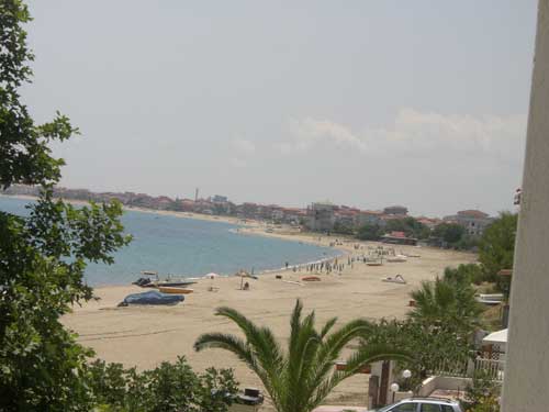 Case,Casa Camelia