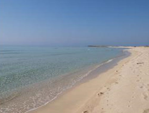 Case vacanze