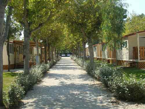 Roseto degli abruzzi