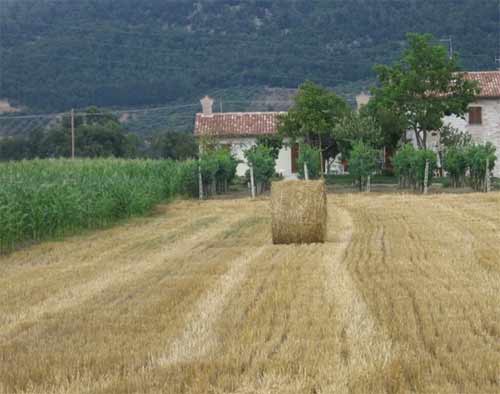 Gubbio