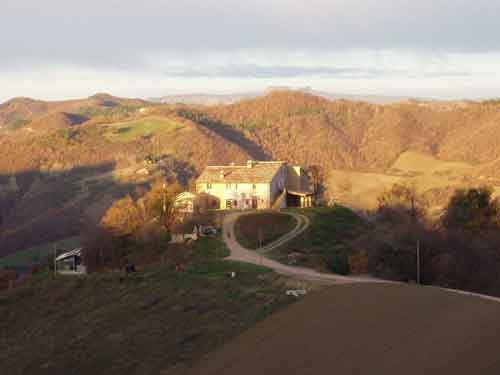 Urbino