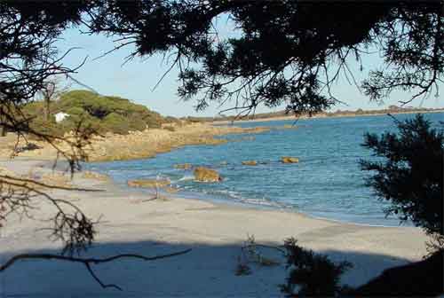 Bed and Breakfast,Bed And Breakfast Il Nespolo Fiorito