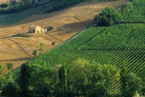 Agenzie,Marche - Italia