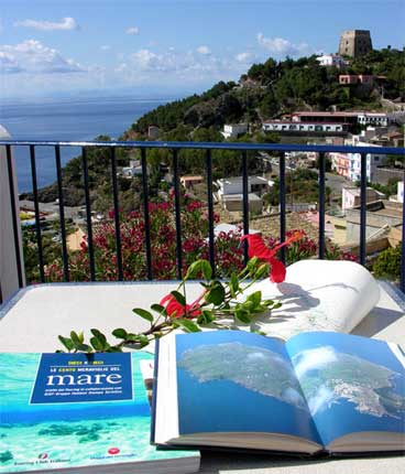 Case vacanze