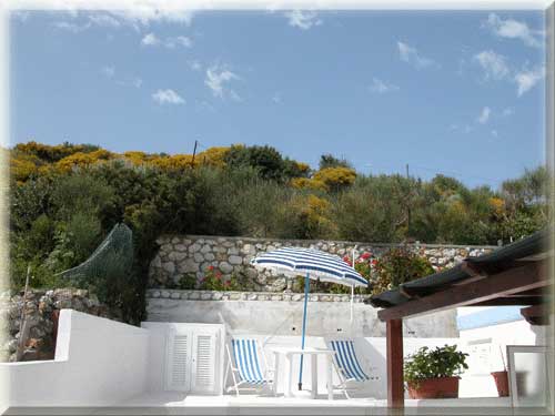 Case vacanze