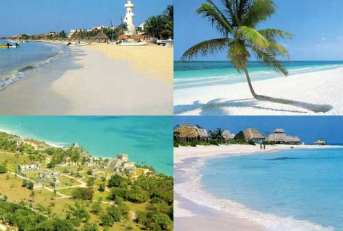 Case,Mexican Caribbean Rentals