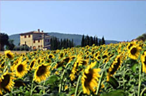 Agriturismo,Toscana - Italia
