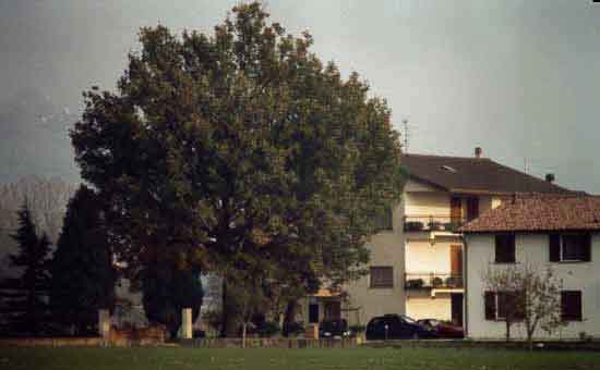 Agriturismo Il Quercione Assisi