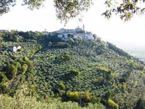 Cortona