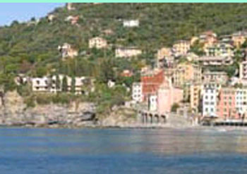 Sori