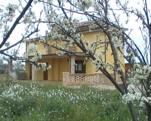 Ortona