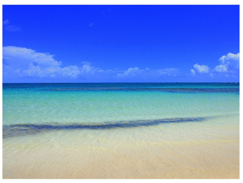 Agenzie, Las terrenas