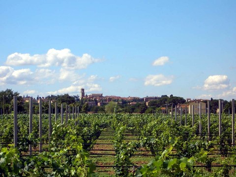 I borghi pi� belli d'Italia: Torgiano