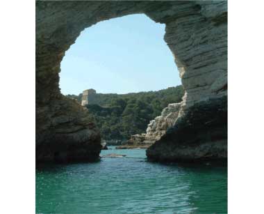 Italy > Apulia