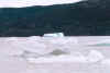 lago del glaciar grey (parco del paine).jpg (37475 byte)